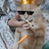 Иконка канала 1234