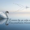 Иконка канала "Стих & Я"
