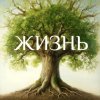 Иконка канала ЖИЗНЬ
