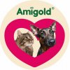 Иконка канала Amigo I Амиголд