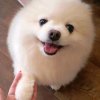 Иконка канала игры с миланой