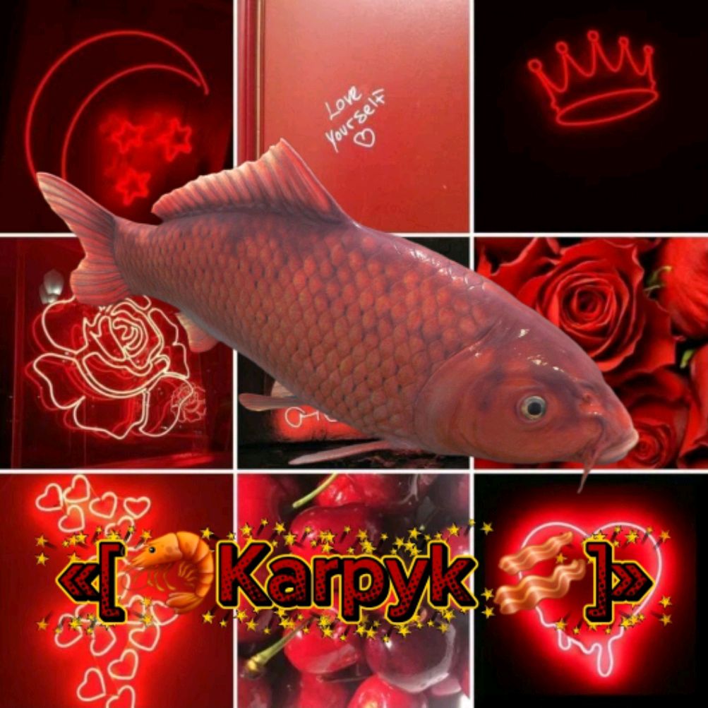 Иконка канала «[Karpyk]»