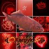 Иконка канала «[Karpyk]»