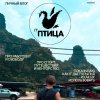 Иконка канала IT Птица | Ментор Frontend