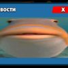 Иконка канала ВоЛоДя Смоленск