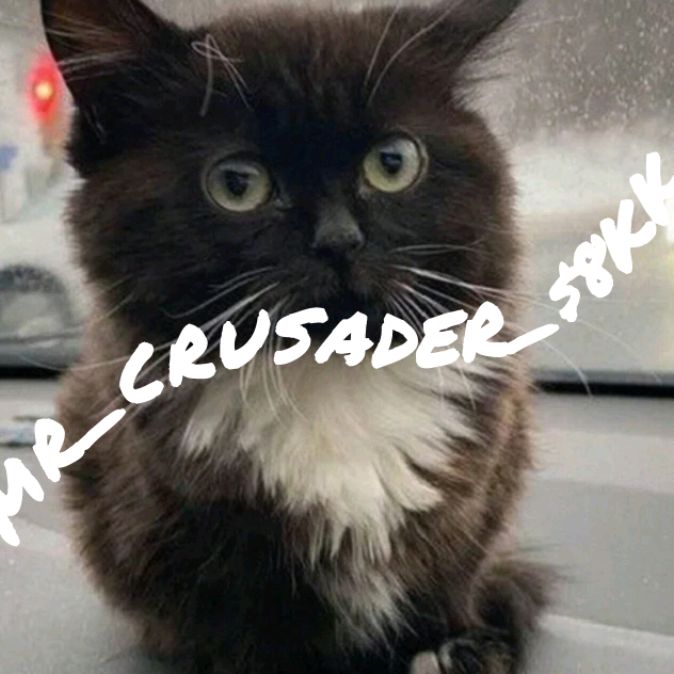 Иконка канала Mr_CRUSADER_$8kk
