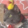 Иконка канала лотковый//