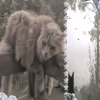 Иконка канала Grey fog/серый Туман