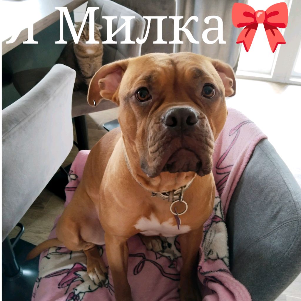 Иконка канала Милка Завер