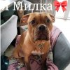 Иконка канала Милка Завер
