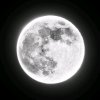 Иконка канала Moon_core.