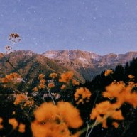 Иконка канала ®•§Лето Аватар World §•®✓
