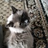 Иконка канала Играю не только в игры