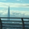 Иконка канала Твой Плот Сожгли По Осени