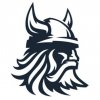 Иконка канала VIKING
