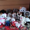 Иконка канала Басик Тв