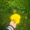 Иконка канала DASHA_DIY