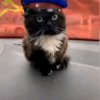 Иконка канала Просто Видосы