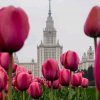 Иконка канала Гавайский пушин 🌺🐈