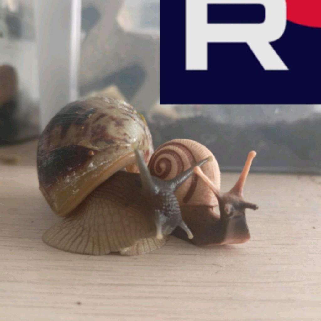 Иконка канала Улитка с Домиком 🐌