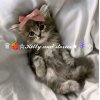 Иконка канала ♕🍓☆𝓚𝓲𝓽𝓽𝔂 𝓪𝓷𝓭 𝓼𝓽𝓸𝓻𝓲𝓮𝓼★🪻✧