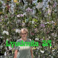 Иконка канала Lyudmila SA