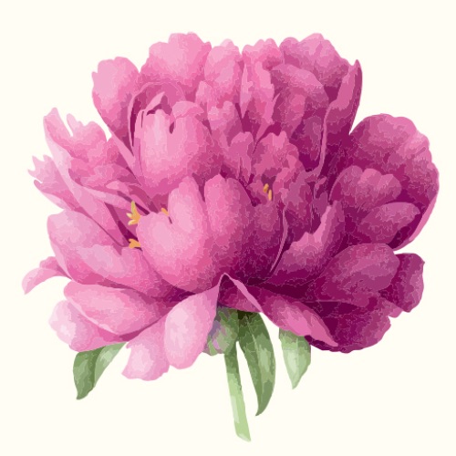Иконка канала Silk Blossom