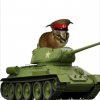 Иконка канала channel78727537