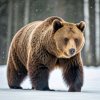 Иконка канала Медведкин