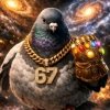 Иконка канала Голубь 228
