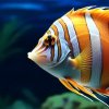 Иконка канала Игровой Рыболов