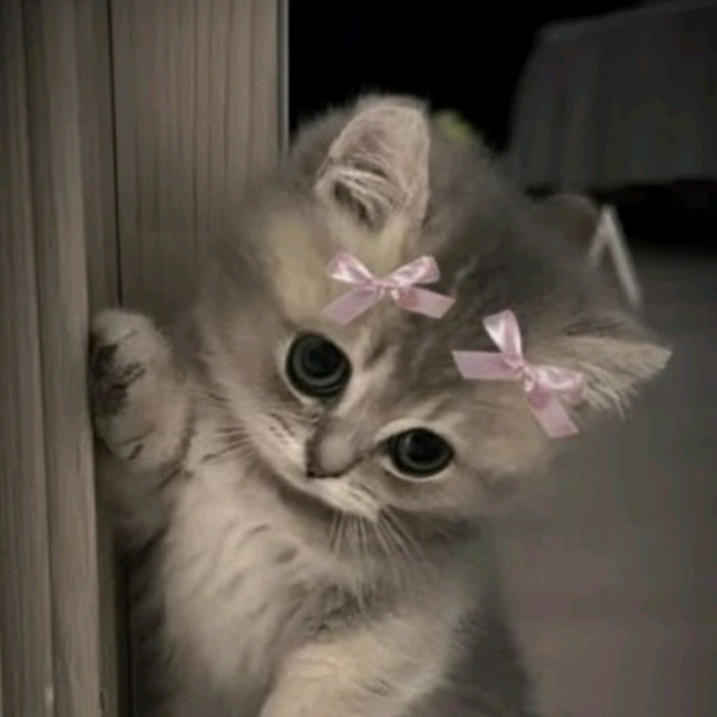 Иконка канала Котя мотя😍