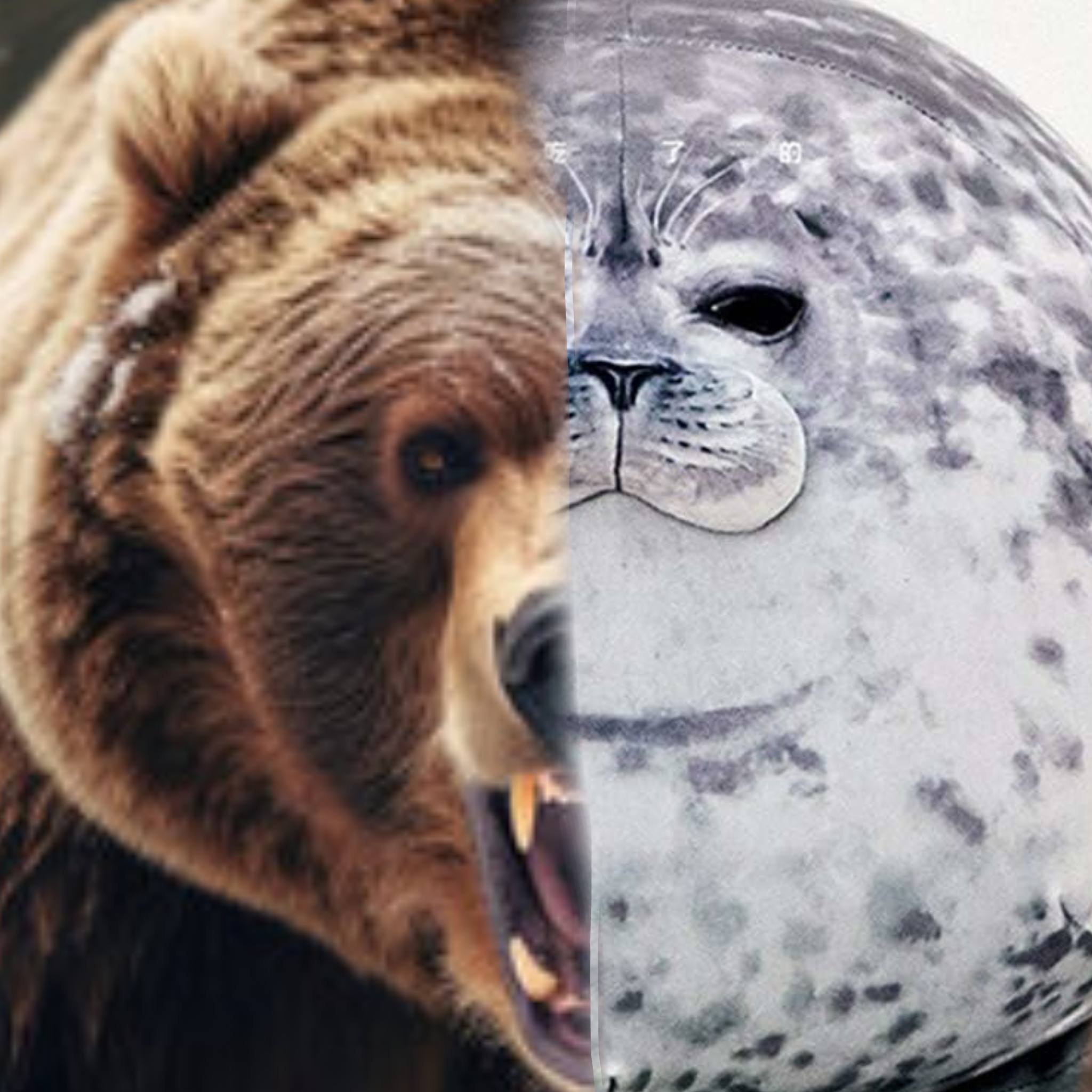 Иконка канала 🐻Миха🇷🇺