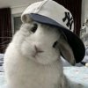 Иконка канала Чёрный Чилен