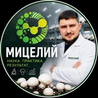 Иконка канала Мицелий