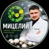 Иконка канала Мицелий