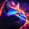 Иконка канала Космокот