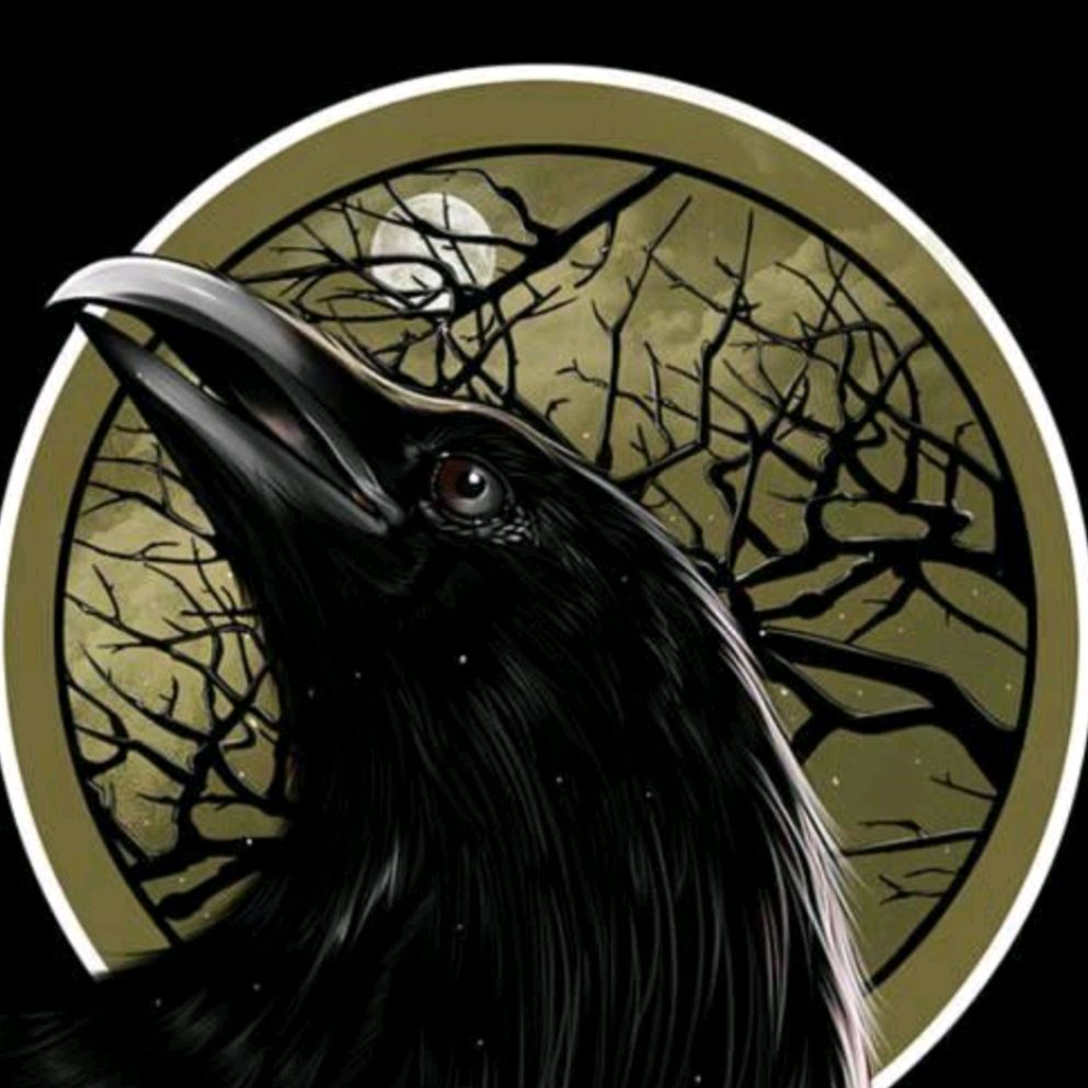 Иконка канала BLACKRAVEN