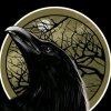 Иконка канала BLACKRAVEN