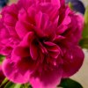Иконка канала Красивая природа 🌿🍃