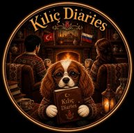 Иконка канала Kılıç Diaries