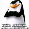 Иконка канала Халяль Мастер