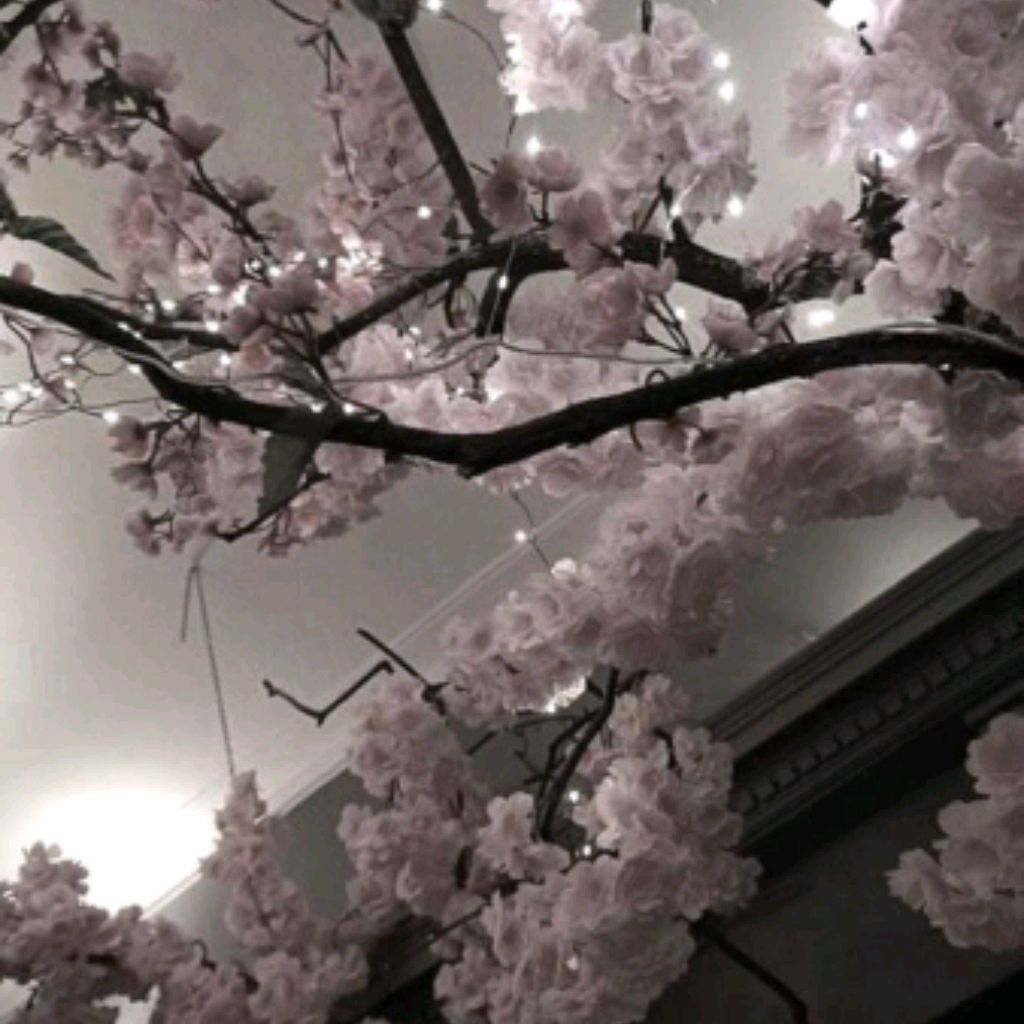 Иконка канала ☁️🌿✨🌸*Сакура*🌸✨🌿☁️