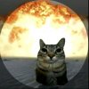 Иконка канала котокбас