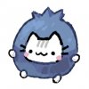 Иконка канала 🫐✖️Meow bilberry🫐✖️.