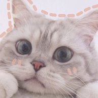 Иконка канала 💝👧😍🥰эстетика и пельмешек🐣🌷🌸