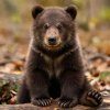 Иконка канала Артём зорипов
