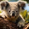 Иконка канала Коала 🐨