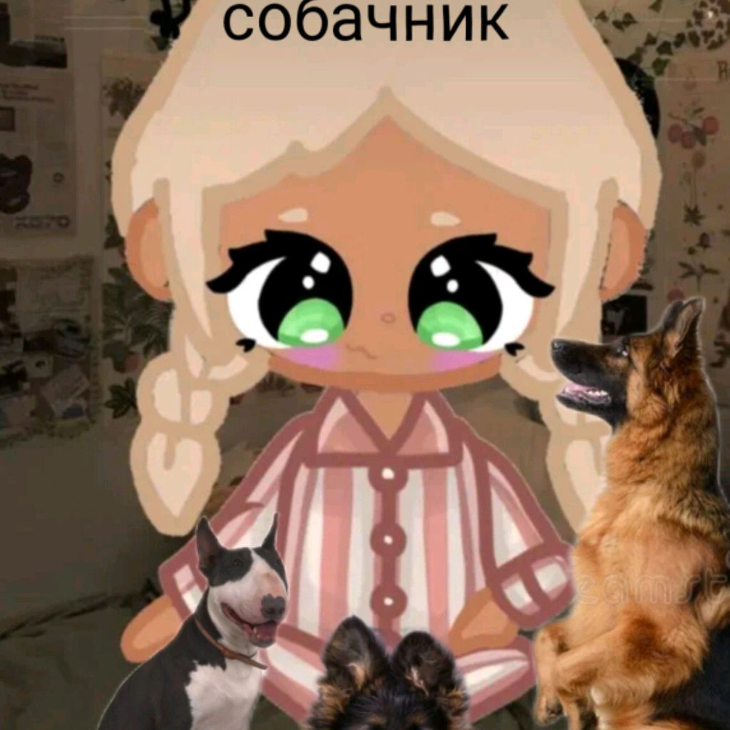 Аватар автора