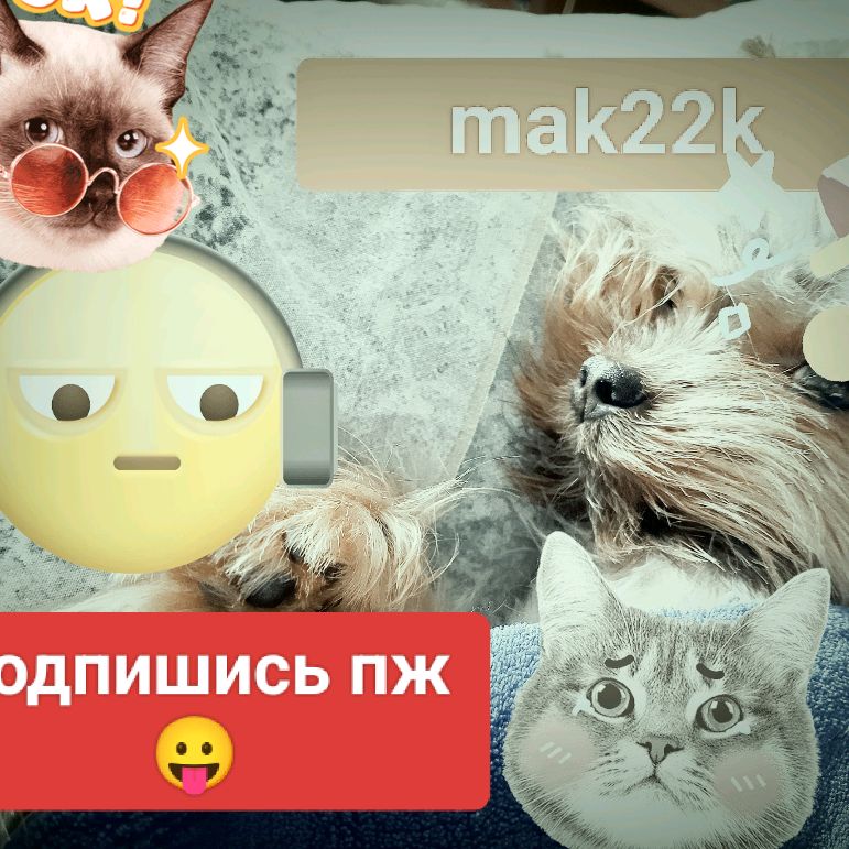 Аватар автора